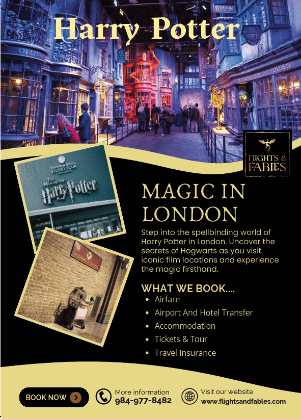 Harry potter flyer