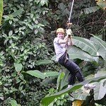 Canopy tour