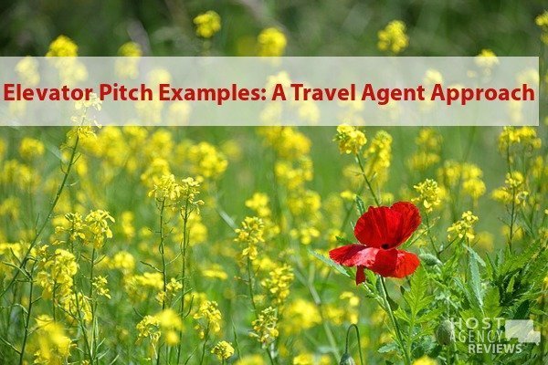 Elevator Pitch Examples: A Travel Agent Approach