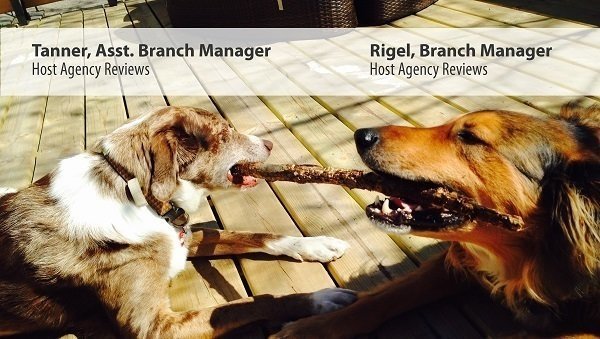 Rigel, Branch Manager. Tanner, Assistant Branch Manager